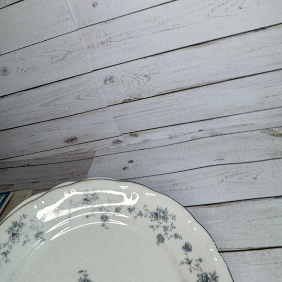 Johann Haviland Blue Garland 10" Dinner Plates Bavaria Germany Platinum Lot of 2 - Picture 4 of 9